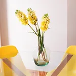 Bom