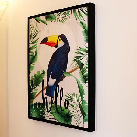 Bom Apartamento Oporto